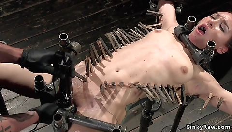 Hot lucas tittied routes